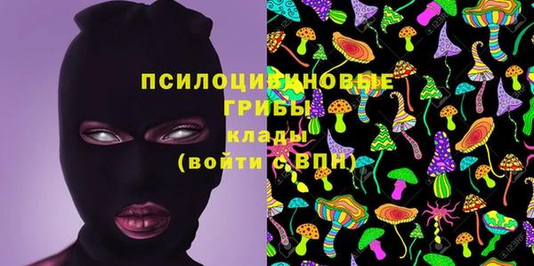 прущая мука Аркадак