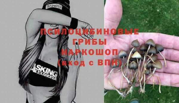 винт Арсеньев